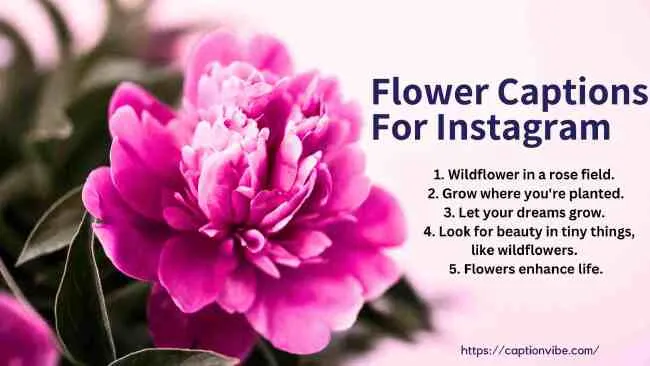 Flower Captions For Instagram