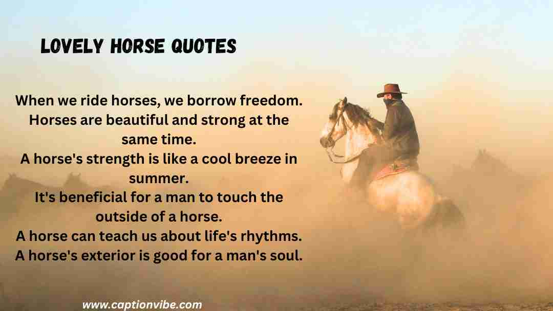 Horse Quotes