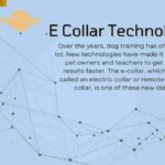 E Collar Technologies