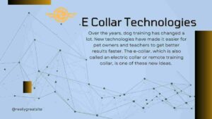 E Collar Technologies