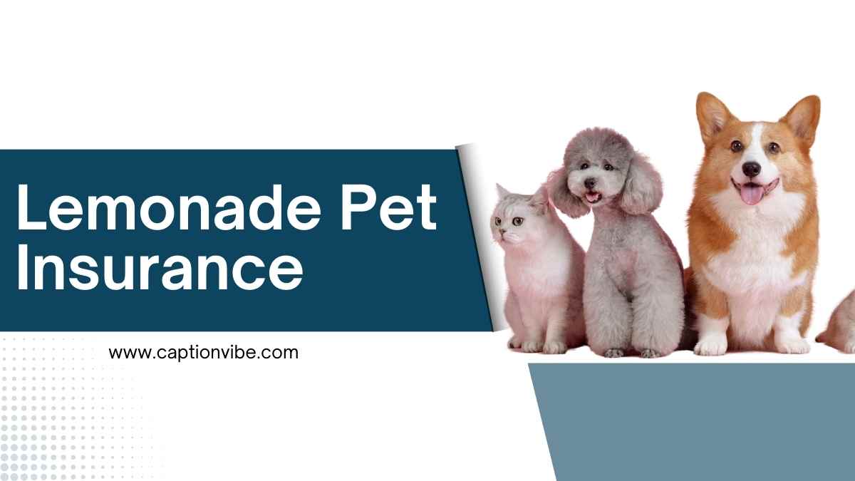 Lemonade Pet Insurance